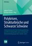 Polykrisen, Strukturbrüche und Schwarze Schwäne, Buch