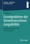 "Grundprobleme der Umweltverschmutzungsdelikte" von Ruixiang Lu: Vergleich von deutschem und chinesischem Recht. Springer Logo., Buch