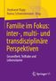 „Familie im Fokus: inter-, multi- und transdisziplinäre Perspektiven“ auf gelbem Hintergrund. Logo von Springer VS unten., Buch