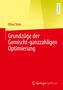 Oliver Stein: Grundzüge der Gemischt-ganzzahligen Optimierung, Buch