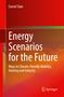 Cornel Stan: Energy Scenarios for the Future, Buch