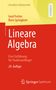 Gerd Fischer: Lineare Algebra, Buch, Buch