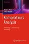 „Kompaktkurs Analysis“ von Mario H. Kraus und Stefan Wagner; leuchtende Linien in lila und blau., Buch