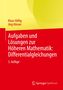 Text: Klaus Höllig, Jörg Hörner. Aufgaben und Lösungen zur Höheren Mathematik: Differentialgleichungen. 5. Auflage. Springer Spektrum Logo. Hintergrund in Gelb und Rot., Buch