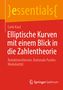 Carlo Kaul: Elliptische Kurven mit einem Blick in die Zahlentheorie. Roter Hintergrund, gelbes "essentials" oben., Buch
