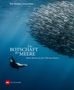 Matt Porteous: Die Botschaft der Meere, Buch