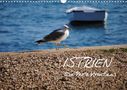 Tobias Keller Photography: ISTRIEN - Die Perle Kroatiens (Wandkalender 2021 DIN A3 quer), KAL