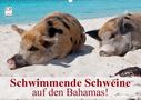 Elisabeth Stanzer: Schwimmende Schweine auf den Bahamas! (Wandkalender 2021 DIN A2 quer), KAL
