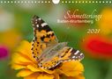 Annette Schlauch: Schmetterlinge Baden-Württemberg (Wandkalender 2021 DIN A4 quer), KAL