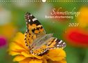 Annette Schlauch: Schmetterlinge Baden-Württemberg (Wandkalender 2021 DIN A3 quer), KAL