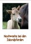 Angelika Beuck: Nachwuchs bei den Islandpferden (Wandkalender 2021 DIN A2 hoch), Div.
