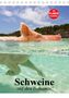 Elisabeth Stanzer: Schweine auf den Bahamas! (Tischkalender 2021 DIN A5 hoch), KAL