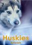 Liselotte Brunner-Klaus: Huskies - Artwork (Wandkalender 2021 DIN A2 hoch), KAL