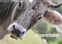 Katrin Lantzsch: Alpenrinder (Wandkalender 2021 DIN A4 quer), KAL