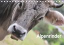 Katrin Lantzsch: Alpenrinder (Tischkalender 2021 DIN A5 quer), KAL