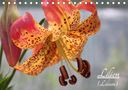 Katrin Lantzsch: Lilien (Lilium) (Tischkalender 2021 DIN A5 quer), KAL