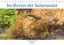 Winfried Erlwein: Im Revier der Salamander (Tischkalender 2021 DIN A5 quer), KAL