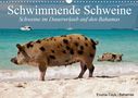 Elisabeth Stanzer: Schwimmende Schweine (Wandkalender 2021 DIN A3 quer), KAL