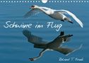 Roland T. Frank: Schwäne im FlugCH-Version (Wandkalender 2022 DIN A4 quer), KAL
