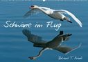 Roland T. Frank: Schwäne im FlugCH-Version (Wandkalender 2022 DIN A2 quer), KAL
