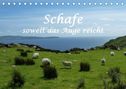 Stefanie Und Philipp Kellmann: Schafe - soweit das Auge reicht (Tischkalender 2022 DIN A5 quer), KAL