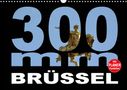 Thomas Bartruff: 300mm - Brüssel (Wandkalender 2022 DIN A3 quer), KAL