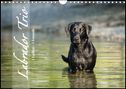 Cornelia Strunz: Labrador Trio - 3 Farben, 3 Freunde (Wandkalender 2022 DIN A4 quer), KAL