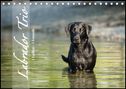 Cornelia Strunz: Labrador Trio - 3 Farben, 3 Freunde (Tischkalender 2022 DIN A5 quer), KAL