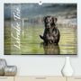 Cornelia Strunz: Labrador Trio - 3 Farben, 3 Freunde (Premium, hochwertiger DIN A2 Wandkalender 2022, Kunstdruck in Hochglanz), KAL