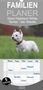 Barbara Mielewczyk: West Highland White Terrier - Selbstbewustes Powerpaket - der Westie - Familienplaner hoch (Wandkalender 2022 , 21 cm x 45 cm, hoch), KAL