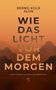 Bernd Kolb: Wie Das Licht Vor Dem Morgen, Buch