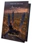 Buchtitel: "Der Prinz von Staub und Schatten II: Widerstand". Eine Figur blickt von einem hohen Gebäude auf eine Stadt mit Türmen., Buch