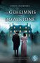 "Chris Chambers, Das Geheimnis von Rowlstone, Die rätselhaften Fälle von Cooper & Robinson."  
Ein Herrenhaus bei Nacht., Buch