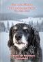 "Viermal-Pfötchen Weihnachtsgeschichten Von Petra Klare. Für Kinder und Erwachsene Tierliebhaber." Ein Hund mit schneebedecktem Fell., Buch