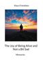 Klaus Friesleben, The Joy of Being Alive and Not a Bit Sad, Memories. Eine Person steht auf einem Berg bei Sonnenuntergang., Buch