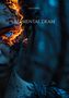 "Anja König: Elemental Dream." Illustration eines Gesichts zur Hälfte von Flammen und leuchtendem, blauem Auge bedeckt., Buch
