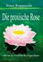 Illustration eines Buchcovers: Text "Peter Rupprecht", "Die proxische Rose", "oder von der Geschichte des ewigen Blutes". Rosenmotiv., Buch