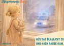 „Pflegekompass Baby“, „ALS DAS BLAULICHT ZU UNS NACH HAUSE KAM.“ zeigt ein Kind mit Kuscheltier am Fenster, draußen Blaulicht., Buch