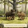 Text: "Heribert Lange", "Eber Eberhard, Familie und die Buche". Illustration: Wildschwein-Familie im Wald unter einer Buche., Buch