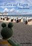 "Flora auf Rügen. Erstes Abenteuer. Andrea Wendeln." Strand mit Strandkörben und einer gestrickten Froschfigur im Vordergrund., Buch