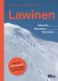 Jan Mersch: Lawinen, Buch