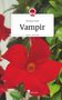 Patrizia Frank: Vampir. Life is a Story - story.one, Buch
