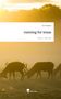Anic Wappler: running for texas. Life is a Story - story.one, Buch
