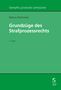 Niklaus Oberholzer: Grundzüge des Strafprozessrechts, Buch