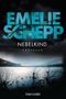 Emelie Schepp: Nebelkind, Buch