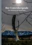 Rainer Limpöck: Der Untersbergcode, Buch