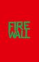 Erin Jade Lange: Firewall, Buch