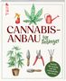 Alexander Gracey: Cannabis-Anbau für Anfänger, Buch