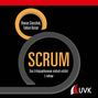 Roman Simschek: Scrum, Buch