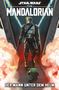 Rodney Barnes: Star Wars Comics: The Mandalorian, Buch, Buch